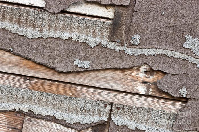 Deteriorating Asbestos Shingles Photograph by Inga Spence - Fine Art ... Deteriorating Asbestos Shingles Photograph by Inga Spence - Fine Art ...